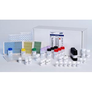 三合一：儿茶酚胺（肾上腺素+去甲肾上腺素+多巴胺） RIA